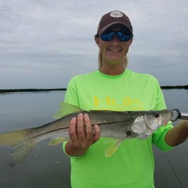 Snook Fishing in New Smyrna Beach, Florida