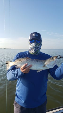 Speckled Trout Fishing in New Smyrna Beach, Florida