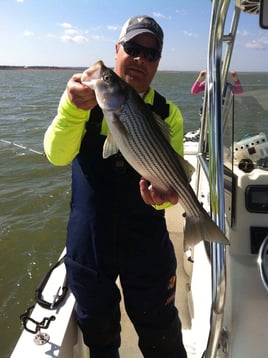 Hybrid Striped Bass Fishing in Burnet, Texas