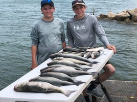 Striped Bass Fishing in Burnet, Texas