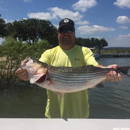 Striped Bass Fishing in Burnet, Texas