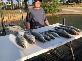 Striped Bass Fishing in Burnet, Texas