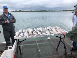 Lake Buchanan Special