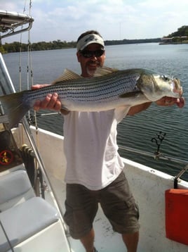 Striped Bass Fishing in Burnet, Texas