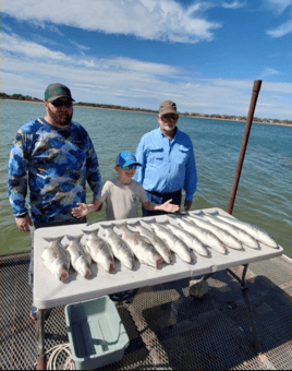 Bluefish, Striped Bass Fishing in Burnet, Texas