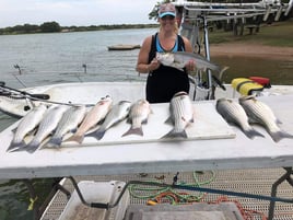 Striped Bass Fishing in Burnet, Texas