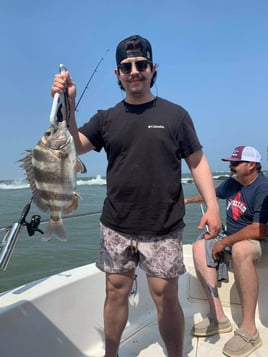 Sheepshead Fishing in Galveston, Texas