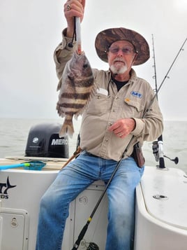 Sheepshead Fishing in Galveston, Texas