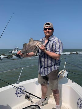 Black Drum Fishing in Galveston, Texas