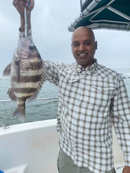 Sheepshead Fishing in Galveston, Texas