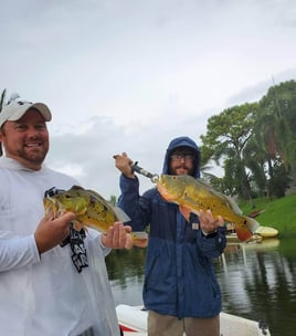 Peacock Bass Fishing in Delray Beach, Florida