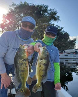 Peacock Bass Fishing in Delray Beach, Florida