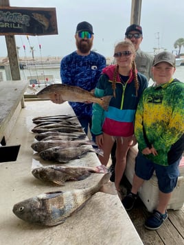 Black Drum, Redfish Fishing in Galveston, Texas