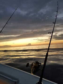 Port Orange Offshore