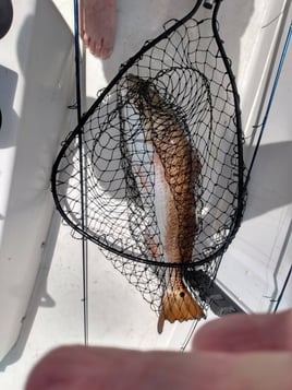 Redfish Fishing in Santa Rosa Beach, Florida