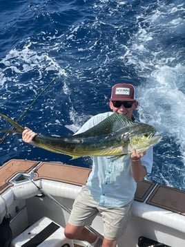 Mahi Mahi Fishing in South Padre Island, Texas