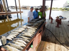 Speckled Trout Fishing in Port Sulphur, Louisiana