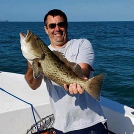 Gag Grouper Fishing in Holmes Beach, Florida