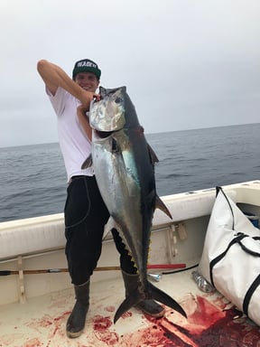 Tuna Fishing California: 2020 Bluefin Tuna Season in San Diego