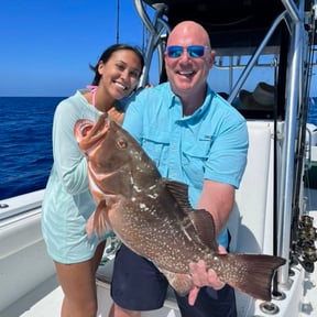 Everything You Need to Know About Grouper Season 2024