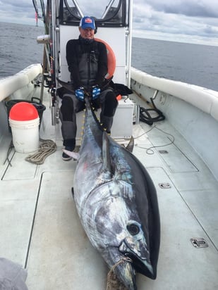 Fishing in Chatham