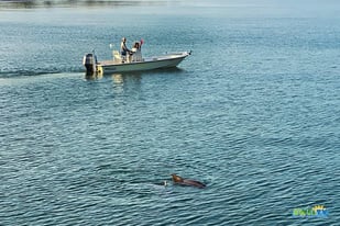 Fishing in Naples