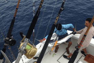 Fishing in South Padre Island