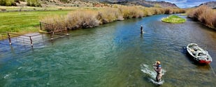 Fishing in Twin Bridges