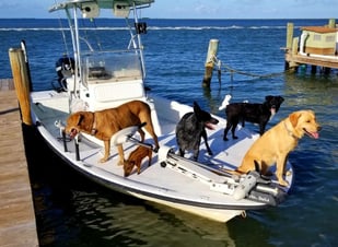 Fishing in Rockport