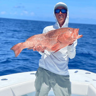 Fishing in Treasure Island