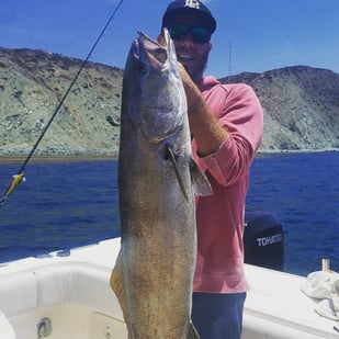 Fishing in Newport Beach