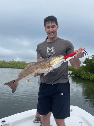 Fishing in Marco Island