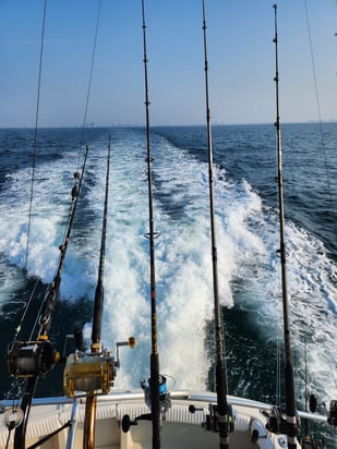 Fishing in Gulf Shores