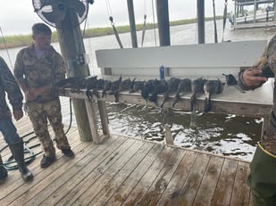 Fishing in Destin