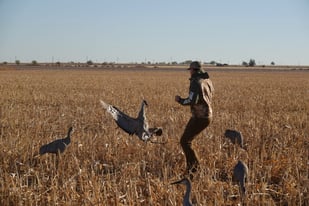 Hunting in Lubbock