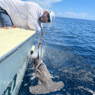 Fishing in Hollywood