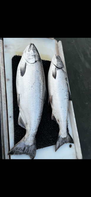 Fishing in Gold Beach