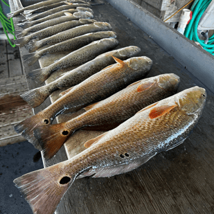 Fishing in Rockport