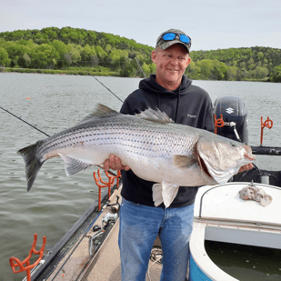 Fishing in Greenback