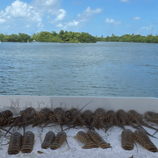 Fishing in Key West