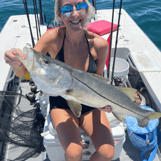 Snook Fishing in Sarasota, Florida