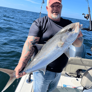 Amberjack Fishing in Panama City Beach, Florida