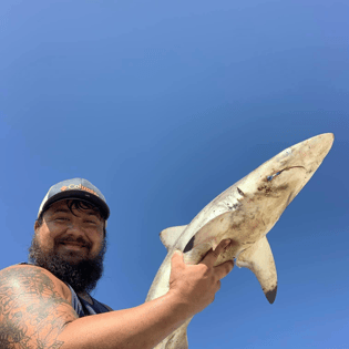 Blacktip Shark Fishing in Destin, Florida