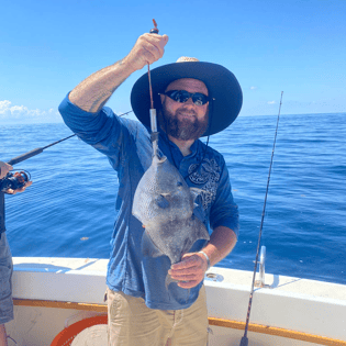 Triggerfish Fishing in Destin, Florida