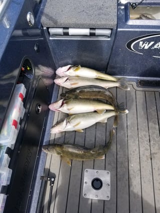 Half-Day Lake Erie Hook-Up