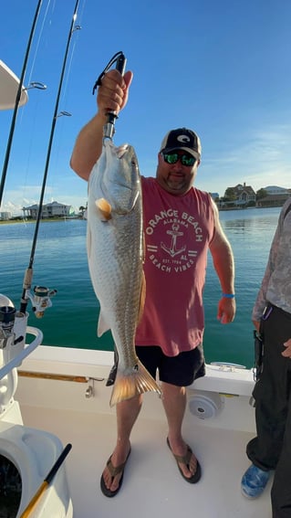 Orange Beach Inshore Fishing