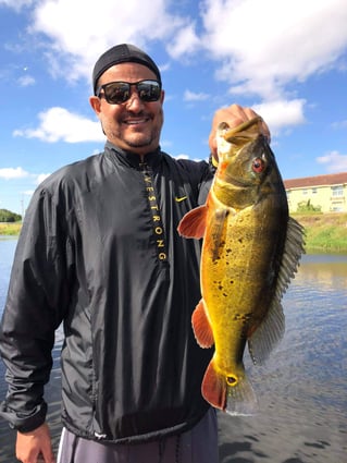 Peacock Bass Fishing in Delray Beach, Florida