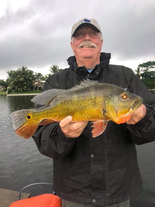 Peacock Bass Fishing in Delray Beach, Florida