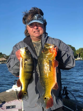 Peacock Bass Fishing in Delray Beach, Florida