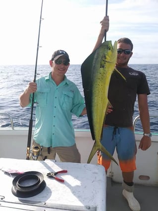 Mahi Mahi Fishing in Miami Beach, Florida